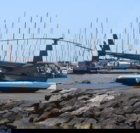 Geelong Helicopter Joy Flights - Accommodation Nelson Bay