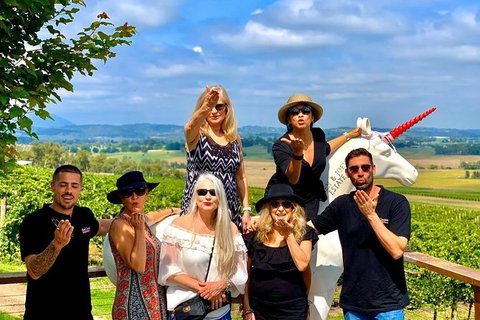 Yarra Valley Private & Bespoke Wine Tasting Tour - Accommodation Nelson Bay 7