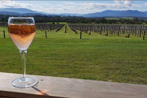 Yarra Valley: 7 Hours Guided Wine Tour With 2-Course Lunch - Accommodation Nelson Bay 0