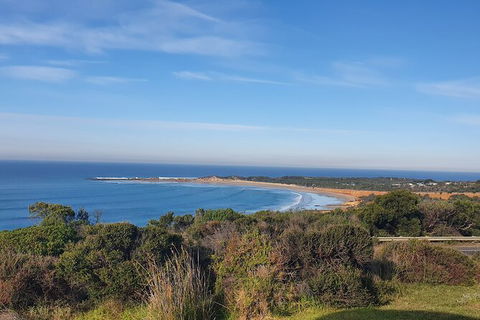 Private Great Ocean Road And Chocolaterie Tour With Tasting - Accommodation Nelson Bay 5