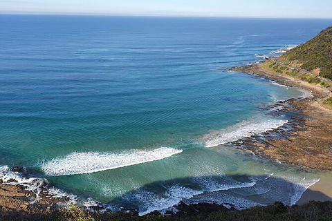 Private Great Ocean Road And Chocolaterie Tour With Tasting - Accommodation Nelson Bay 7