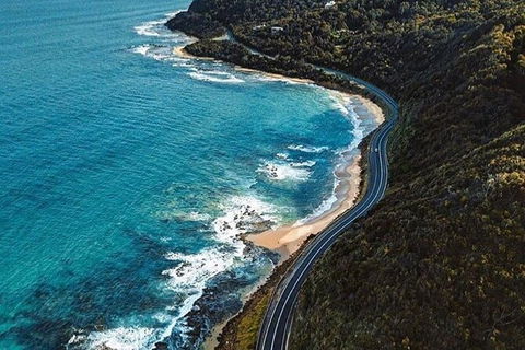 Private Great Ocean Road And Chocolaterie Tour With Tasting - Accommodation Nelson Bay 6