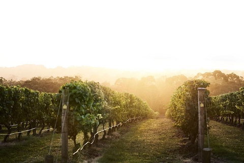 Mornington Peninsula 2-6 Guests Lunch Rare Hare Or Merricks General Wine Store - Accommodation Nelson Bay 2