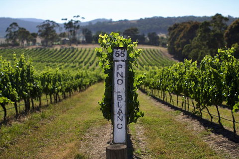 Yarra Valley 2-6 Guests Premium Food And Wine Inc Lunch At Dominique Portet - Accommodation Nelson Bay 3