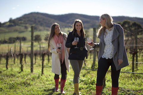 Yarra Valley 2-6 Guests Premium Food And Wine Inc Lunch At Dominique Portet - Accommodation Nelson Bay 6