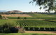 Yarra Valley 2-6 Guests Premium Food And Wine Inc Lunch At Dominique Portet - thumb 1