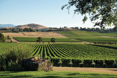 Yarra Valley 2-6 Guests Premium Food And Wine Inc Lunch At Dominique Portet - Accommodation Nelson Bay 1