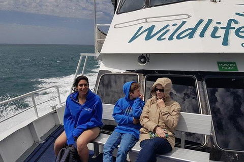 Phillip Island Penguin And Wildlife Tour - Accommodation Nelson Bay 15
