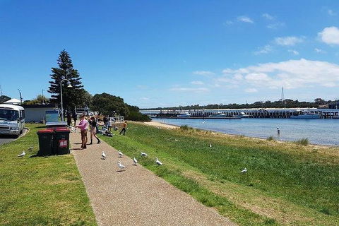 Phillip Island Penguin And Wildlife Tour - Accommodation Nelson Bay 25
