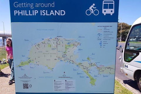 Phillip Island Penguin And Wildlife Tour - Accommodation Nelson Bay 28