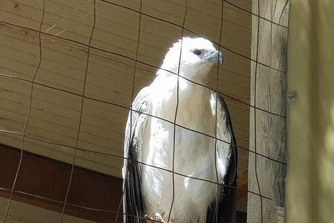 Phillip Island Penguin And Wildlife Tour - Accommodation Nelson Bay 21