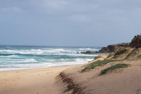 Phillip Island Penguin And Wildlife Tour - Accommodation Nelson Bay 10