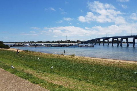 Phillip Island Penguin And Wildlife Tour - Accommodation Nelson Bay 24