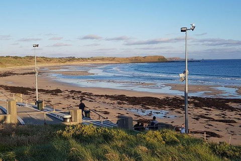 Phillip Island Penguin And Wildlife Tour - Accommodation Nelson Bay 8