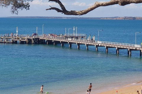 Phillip Island Penguin And Wildlife Tour - Accommodation Nelson Bay 2