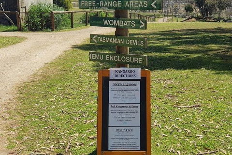 Phillip Island Penguin And Wildlife Tour - Accommodation Nelson Bay 4