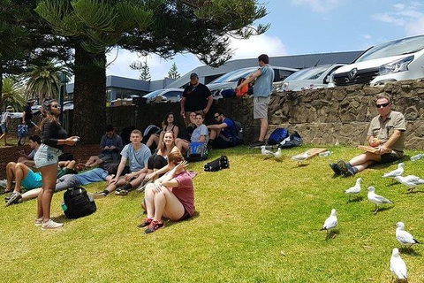 Phillip Island Penguin And Wildlife Tour - Accommodation Nelson Bay 22