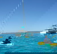 5 Night Ningaloo Reef Ningaloo Escape from Coral Bay - Accommodation Nelson Bay