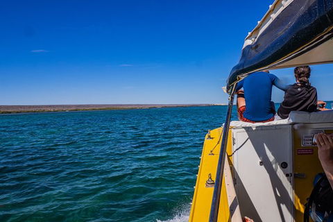 Ningaloo Immersion Private Charter - Accommodation Nelson Bay 0