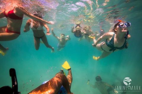 Ningaloo Immersion Private Charter - Accommodation Nelson Bay 8