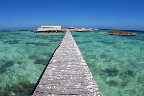 Abrolhos Islands 5 Day Tours - Accommodation Nelson Bay 4