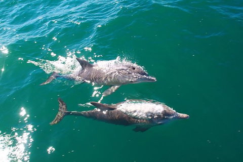 Sailing Kayak Adventure Through The Peel Harvey Estuary - Accommodation Nelson Bay 1