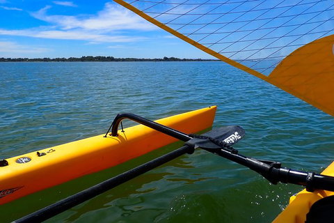 Sailing Kayak Adventure Through The Peel Harvey Estuary - Accommodation Nelson Bay 3