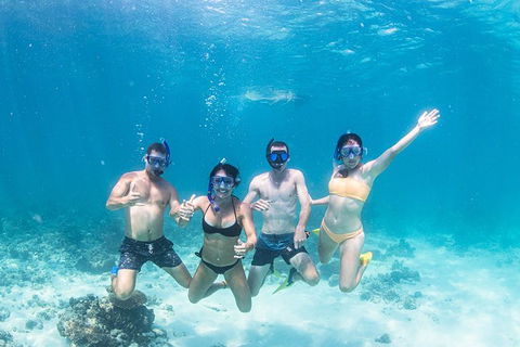 Full-Day Whale Sharks Swimming Experience On Ningaloo Reef - Accommodation Nelson Bay 5
