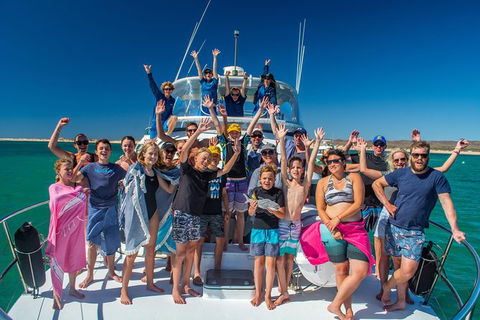 Full-Day Whale Sharks Swimming Experience On Ningaloo Reef - Accommodation Nelson Bay 15