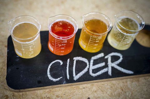 Bickley Valley Wine & Cider Tour - Premium Small Group Tour - Accommodation Nelson Bay 1