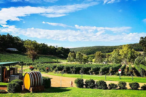Bickley Valley Wine & Cider Tour - Premium Small Group Tour - Accommodation Nelson Bay 0