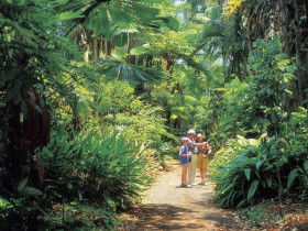 Sir Thomas Brisbane Planetarium - Accommodation Nelson Bay 0