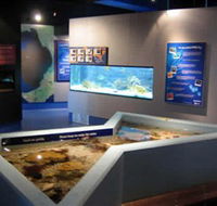 Marine and Freshwater Discovery Centre - Accommodation Nelson Bay