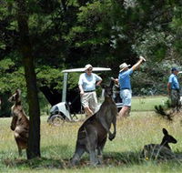 Glen Innes Golf Club - Accommodation Nelson Bay
