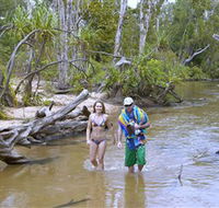 Tjuwaliyn / Douglas Hot Springs Park - Accommodation Nelson Bay