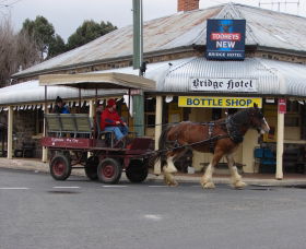 Bathurst Farm Experience - Accommodation Nelson Bay 0