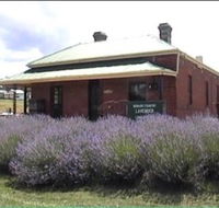 Lavender House in Railway Park - Accommodation Nelson Bay