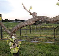 Nalbra Estate Wines - Accommodation Nelson Bay