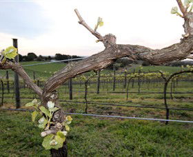 Nalbra Estate Wines - Accommodation Nelson Bay 0