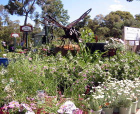 Zanthorrea Nursery - Accommodation Nelson Bay 0