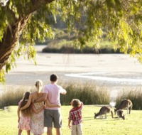 Yanchep National Park - Bushwalking Trails - Accommodation Nelson Bay