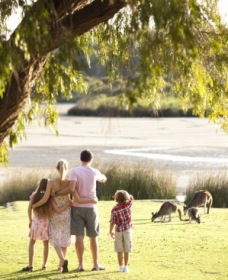 Yanchep National Park - Bushwalking Trails - Accommodation Nelson Bay 0
