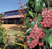 Bushfood Factory and Cafe - Accommodation Nelson Bay