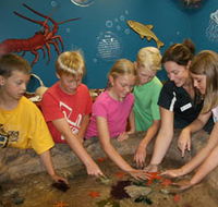 Naturaliste Marine Discovery Centre - Accommodation Nelson Bay