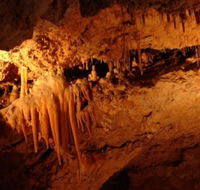 Yanchep National Park - Crystal Cave - Accommodation Nelson Bay