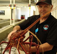 Lobster Shack - Accommodation Nelson Bay