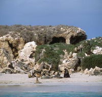 Jurien Bay Marine Park - Accommodation Nelson Bay