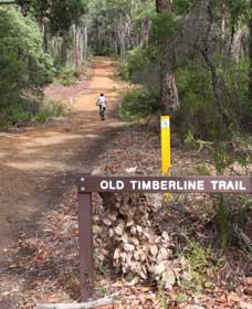 Nannup WA Accommodation Nelson Bay