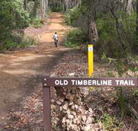 Old Timberline and Sidings Rail Trails - Accommodation Nelson Bay