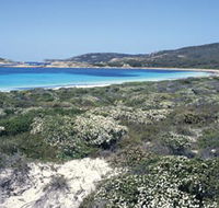 Mississippi Hill and Rossiter Bay - Accommodation Nelson Bay
